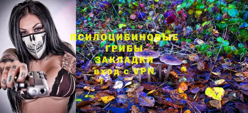 Псилоцибиновые грибы Magic Shrooms  Северо-Курильск 